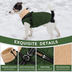 Queenmore manteau impermeable avec peluche, garde votre chien au sec et au chaud