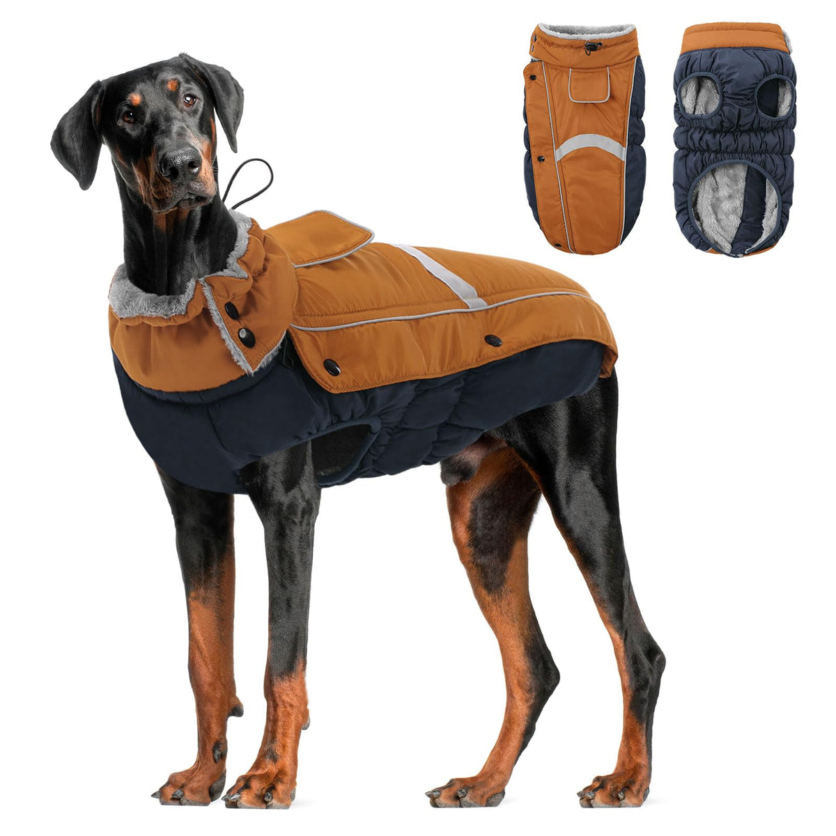 Queenmore manteau chien intérieur velours corail offre chaleur douce et confortable.