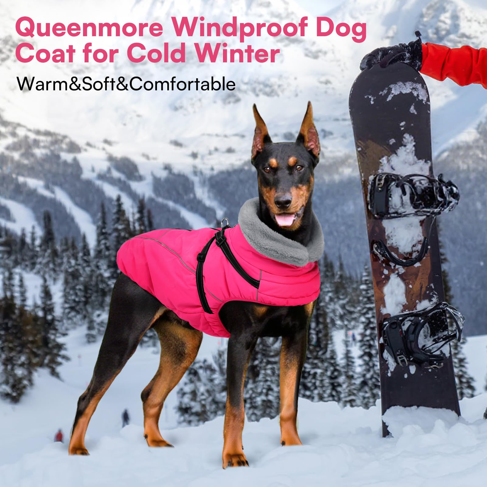 Queenmore col en peluche protège les oreilles du vent.