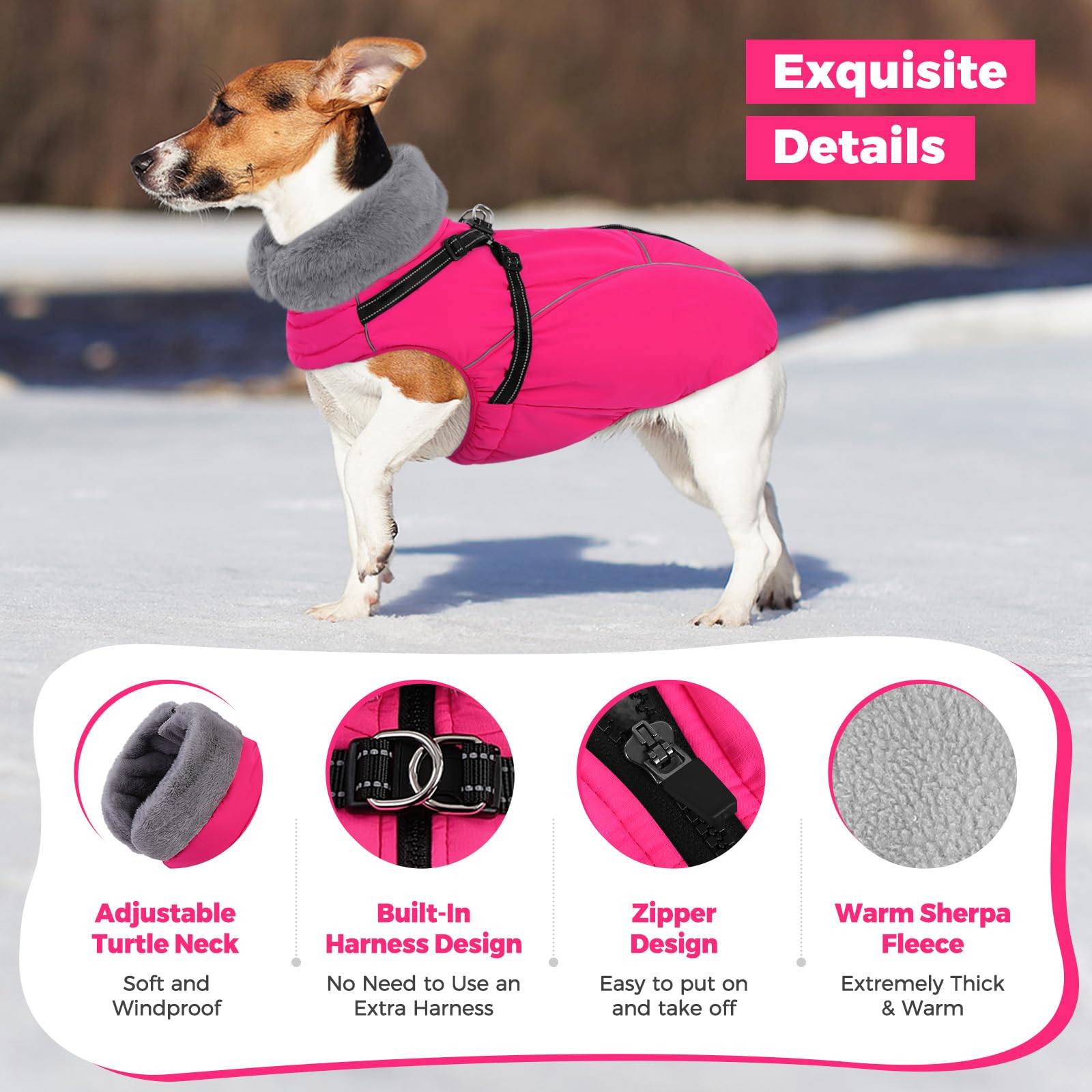 Queenmore manteau chien petit avec fermeture dos facile et confort.