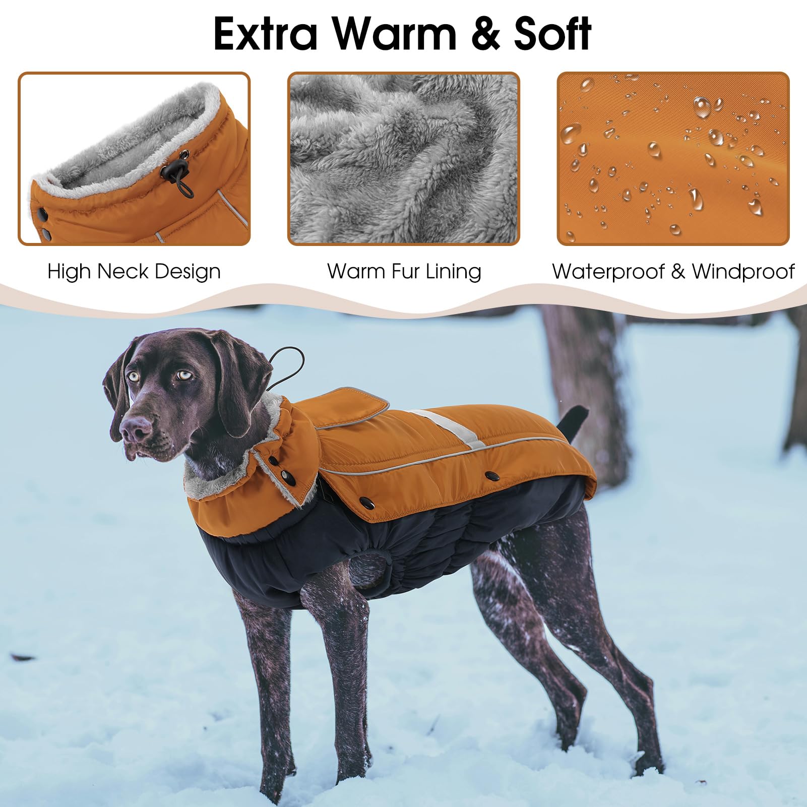 Queenmore manteau chien réfléchissant augmente la visibilité nocturne.