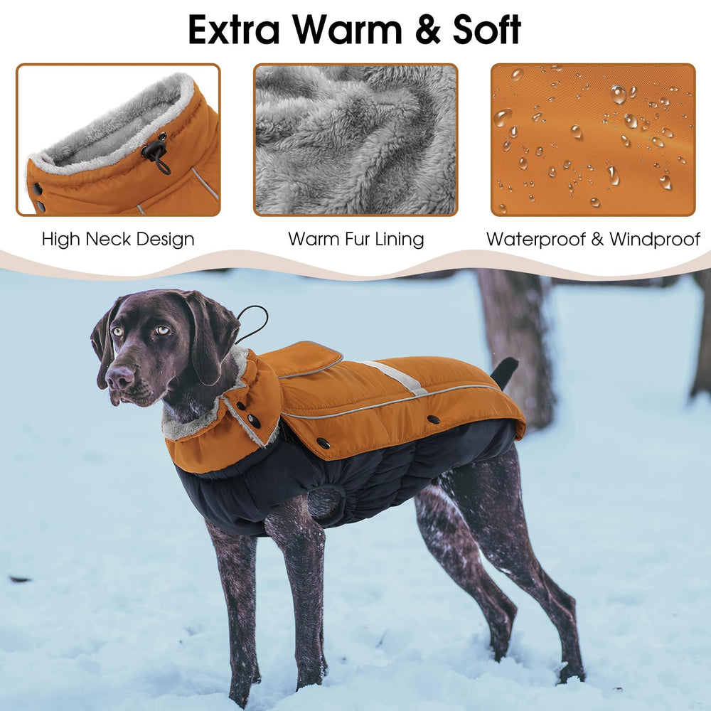 Queenmore manteau chien réfléchissant augmente la visibilité nocturne.