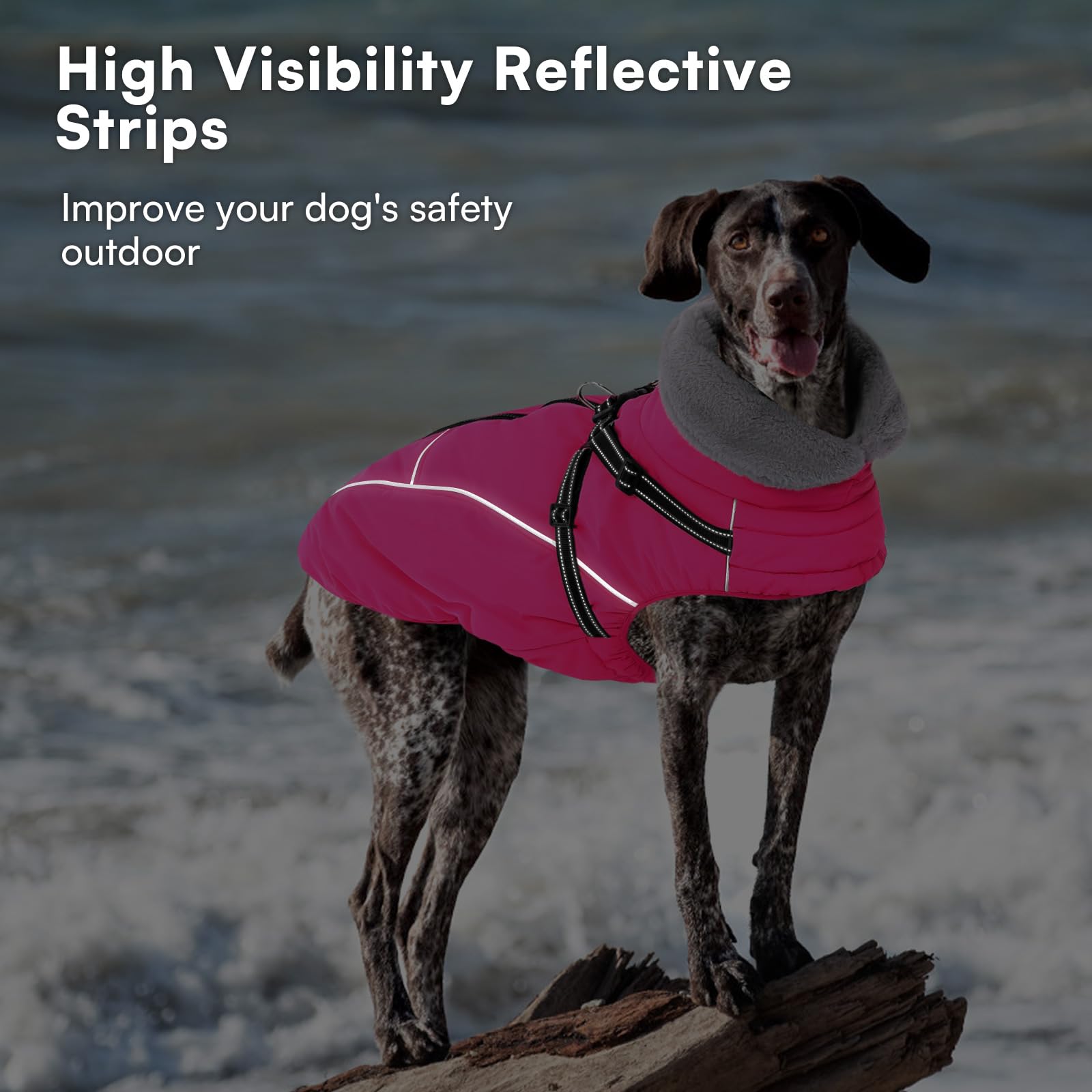 Queenmore manteau chien rose imperméable résistant à pluie légère et neige