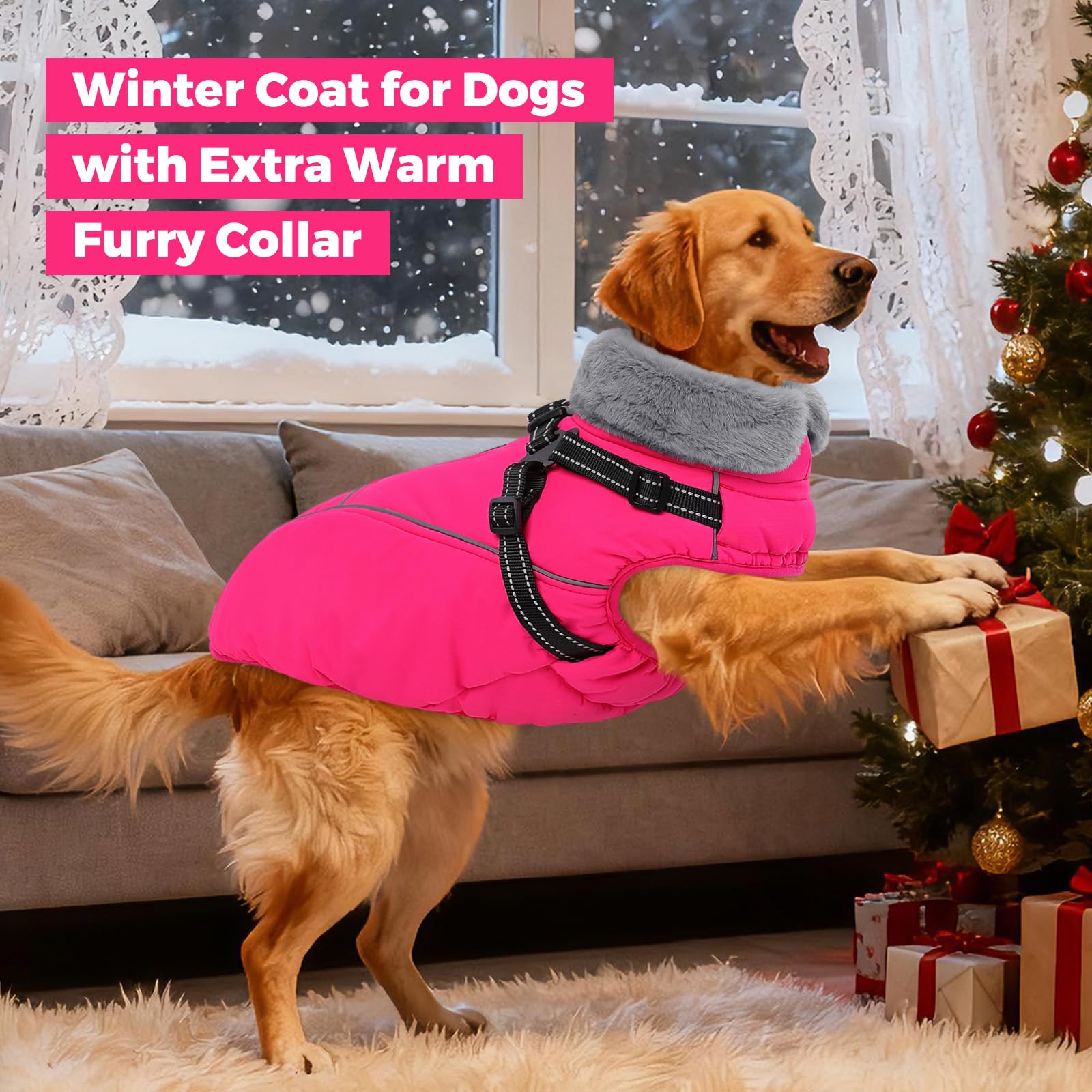 Queenmore manteau chien rose utilisation extérieure hivernale pour promenades quotidiennes