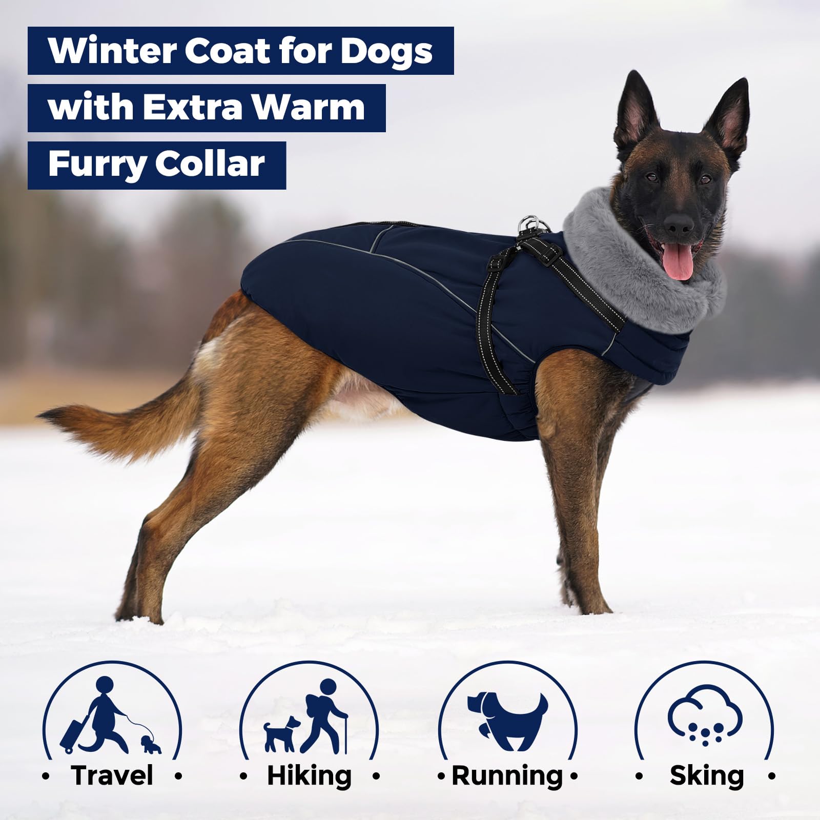 Manteau Queenmore taille XL, adapté pour les chiens de grande taille.
