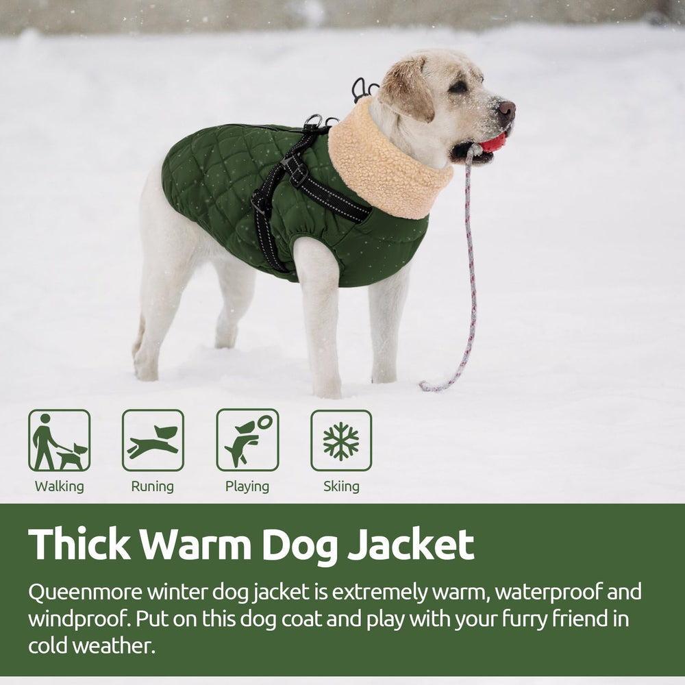 Manteau Queenmore taille XL, adapté Labrador et Retriever pour l'hiver