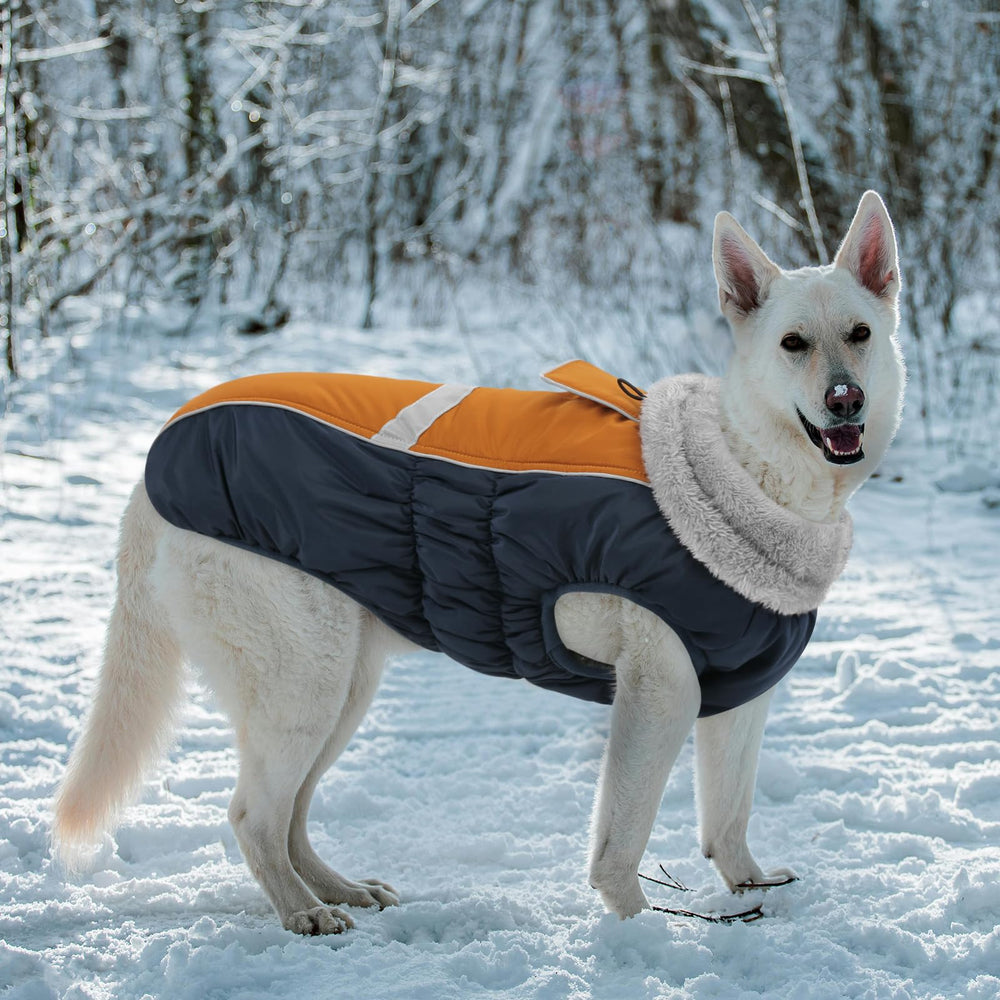 Queenmore manteau chien tailles diverses convient à plusieurs races.