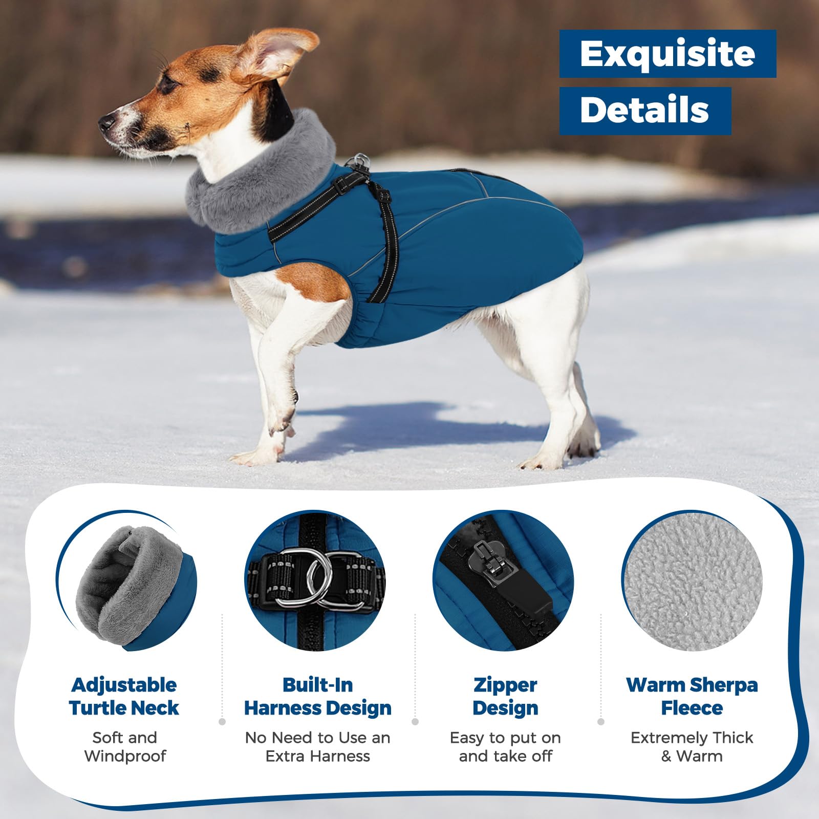 Détail fermeture rapide du manteau Queenmore xl pour chien