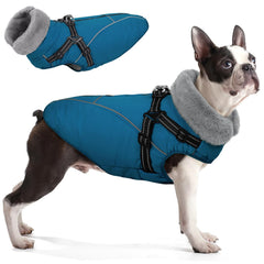 Manteau Queenmore pour chien xl avec harnais intégré prêt pour promenades hivernales