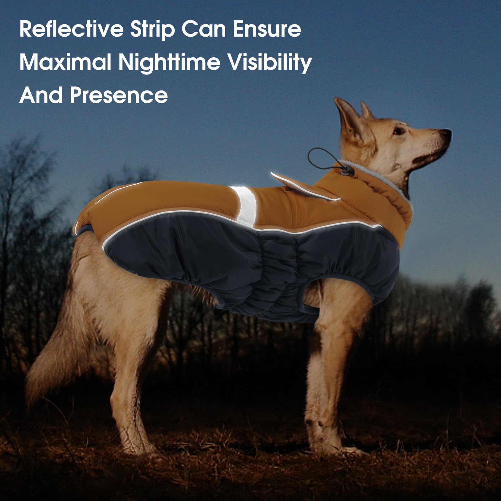 Queenmore manteau chien fermeture cote zippée pour enfiler rapidement.