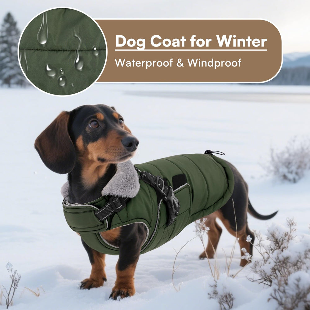 Sortie hivernale avec la veste Queenmore, idéale pour promenades quotidiennes.