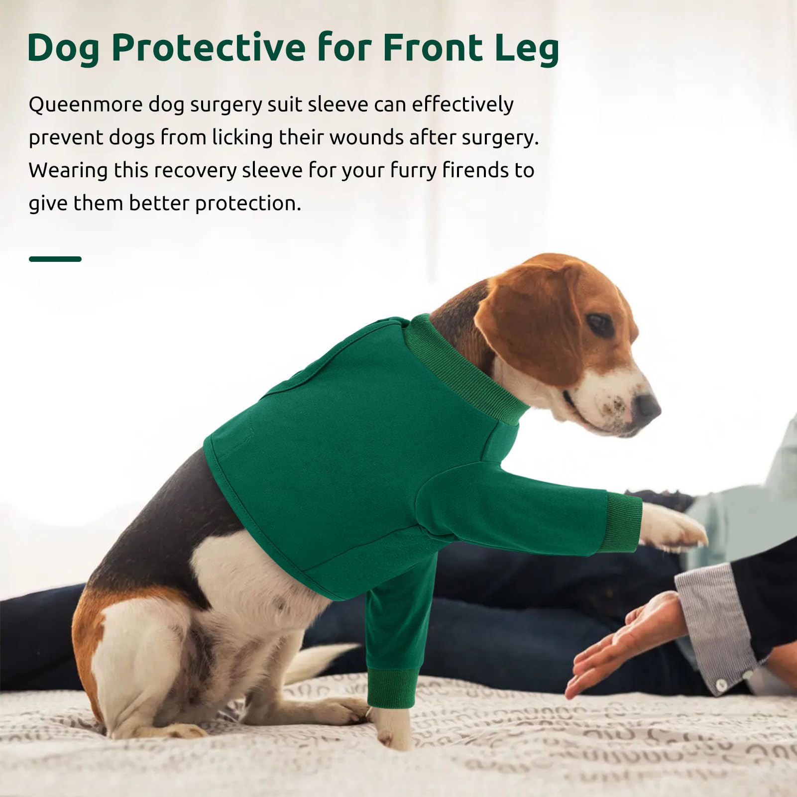 Queenmore protection anti lechage chien pour limiter l acces a la zone
