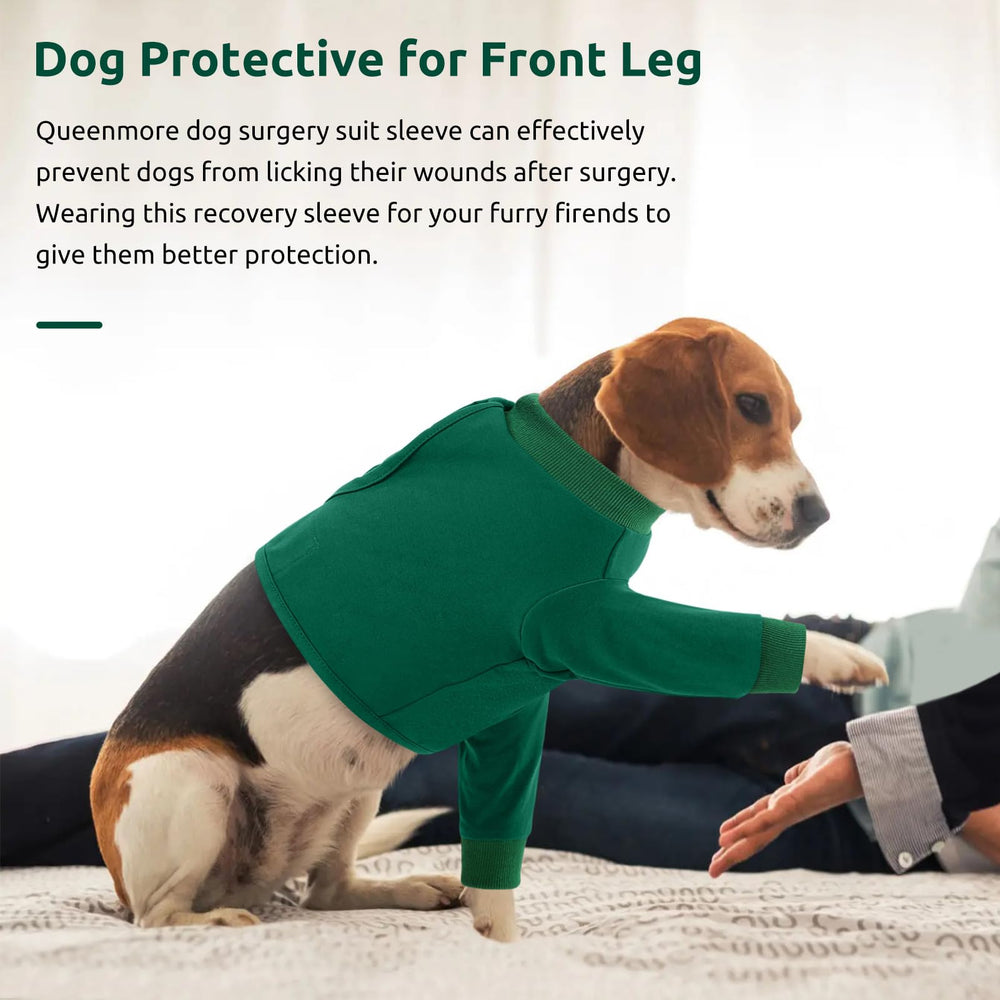 Queenmore protection anti lechage chien pour limiter l acces a la zone