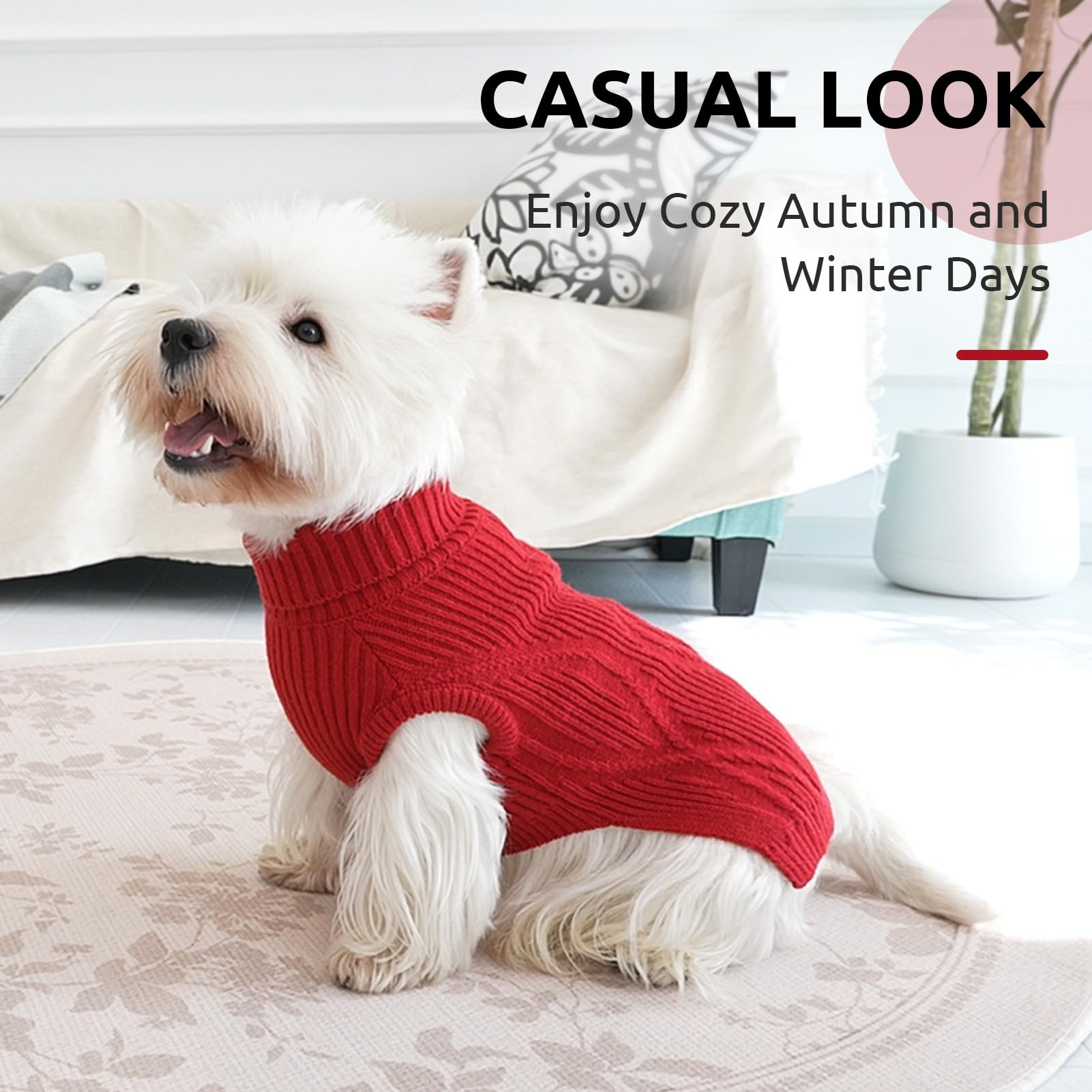 Texture douce Queenmore sur chien, confort lors de promenades hivernales.