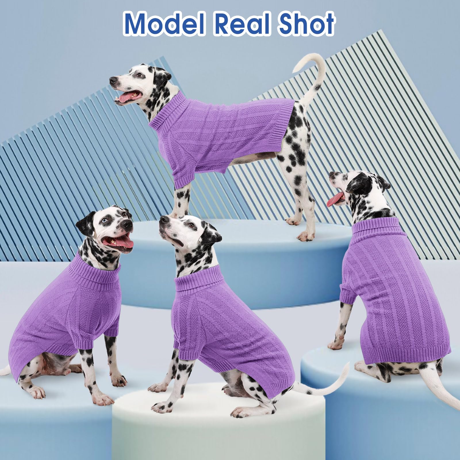 Queenmore pull chien facile à enfiler, pause pipi simplifiée.