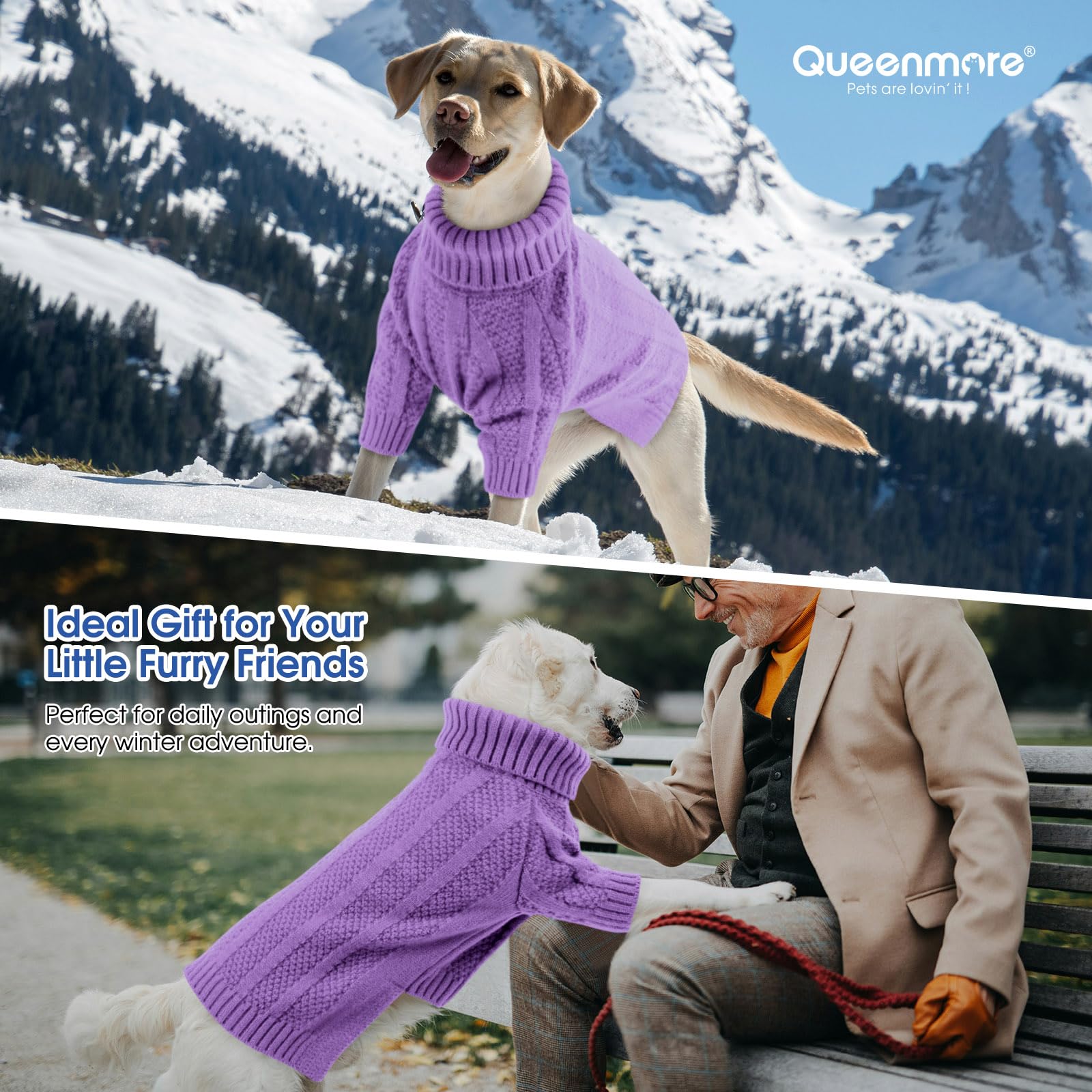 Queenmore pull chien parfait pour Noël et fêtes, style festif.