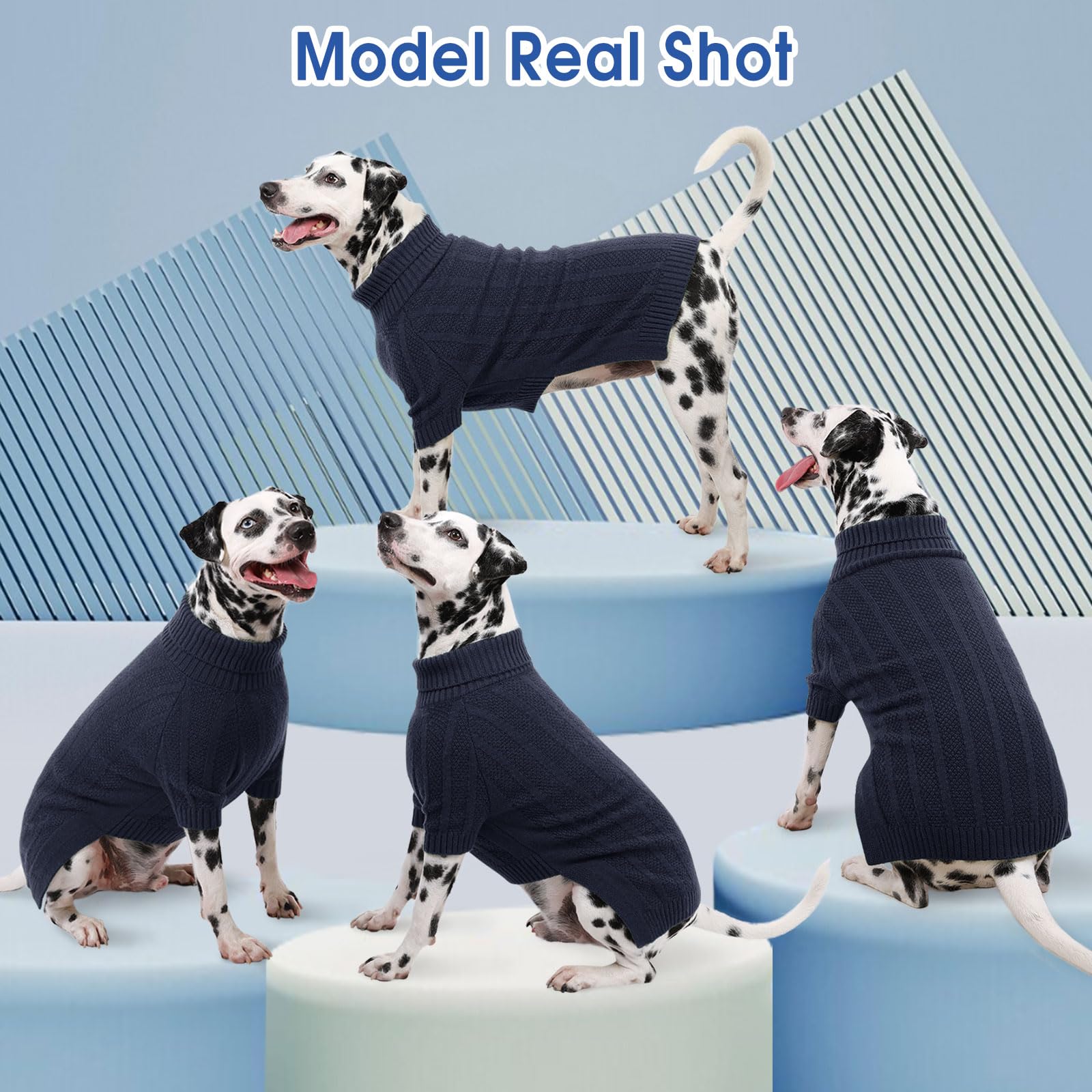 Queenmore pull chien guide tailles, mesures poitrine et dos recommandées
