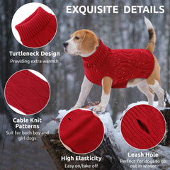 Détail maille torsadée du pull Queenmore pour chien, douceur et chaleur.
