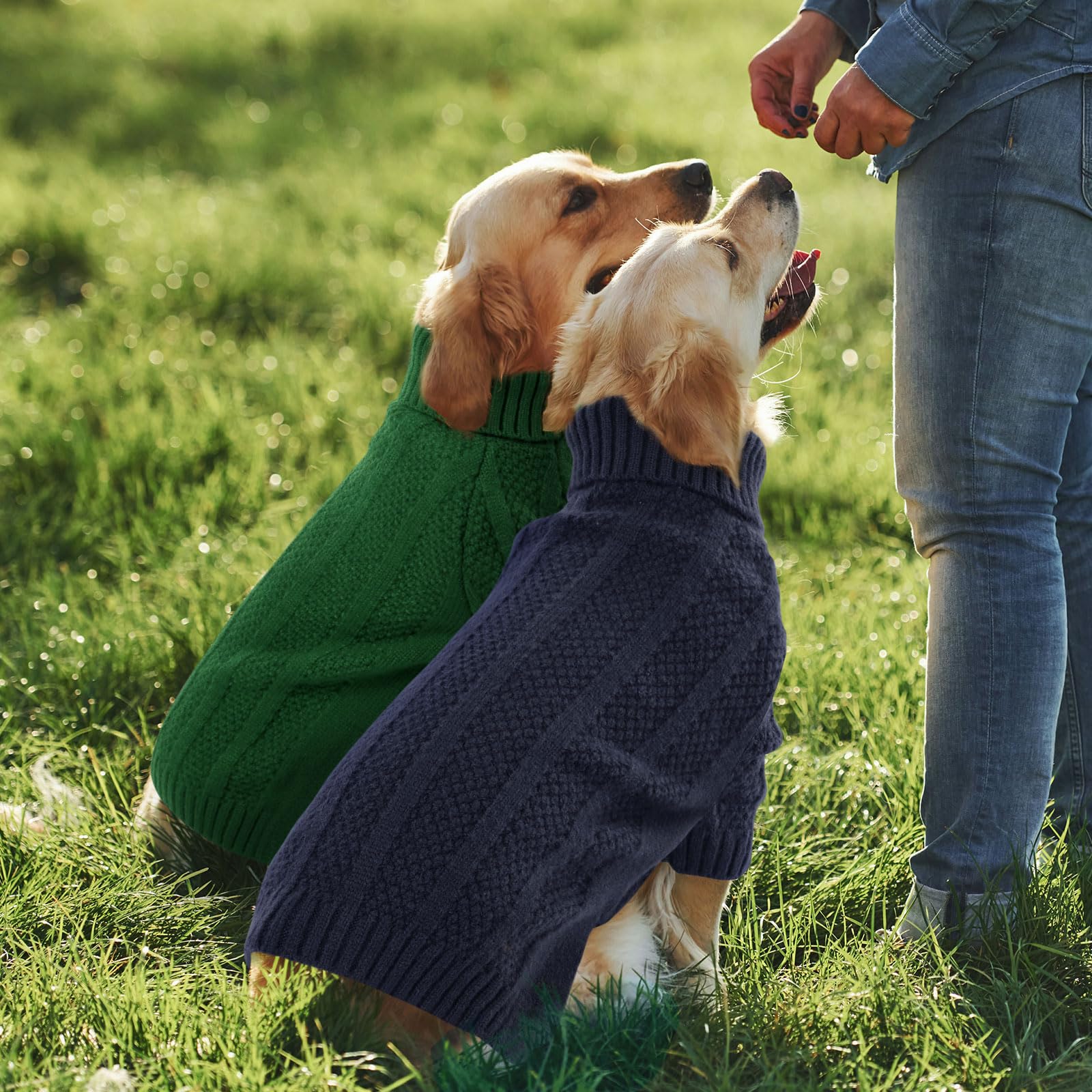 Queenmore pull chien matière douce acrylique, tricot épais et confortable