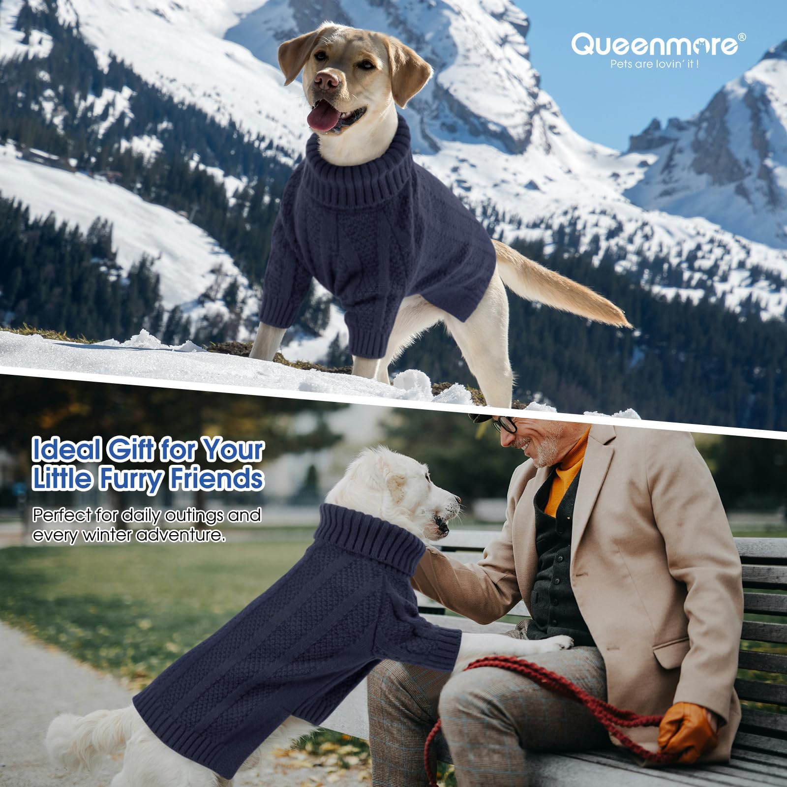 Queenmore pull chien usage quotidien, douceur et simplicité d’utilisation