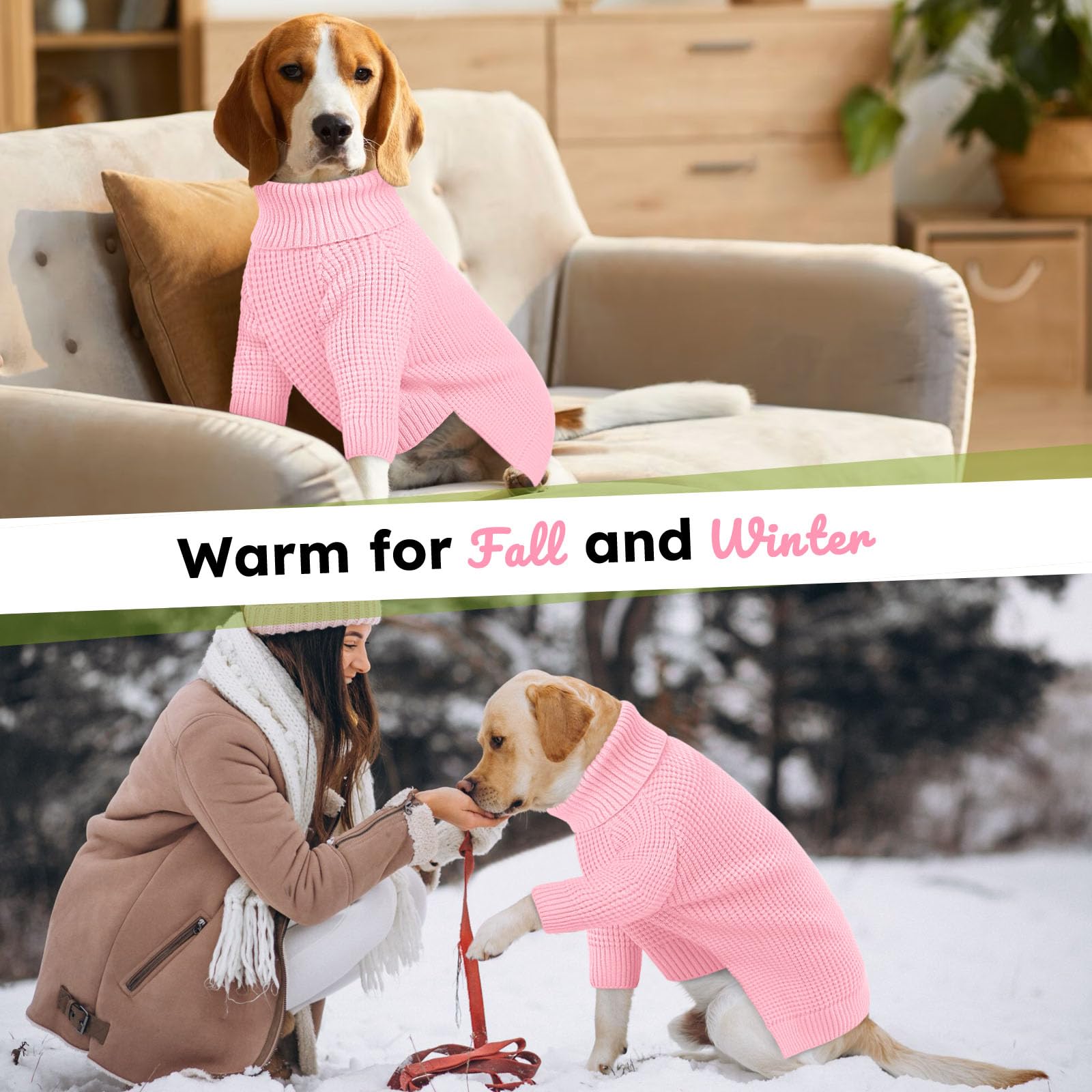 Pull Queenmore pour chien XXL, enfilage facile grâce au pullover.