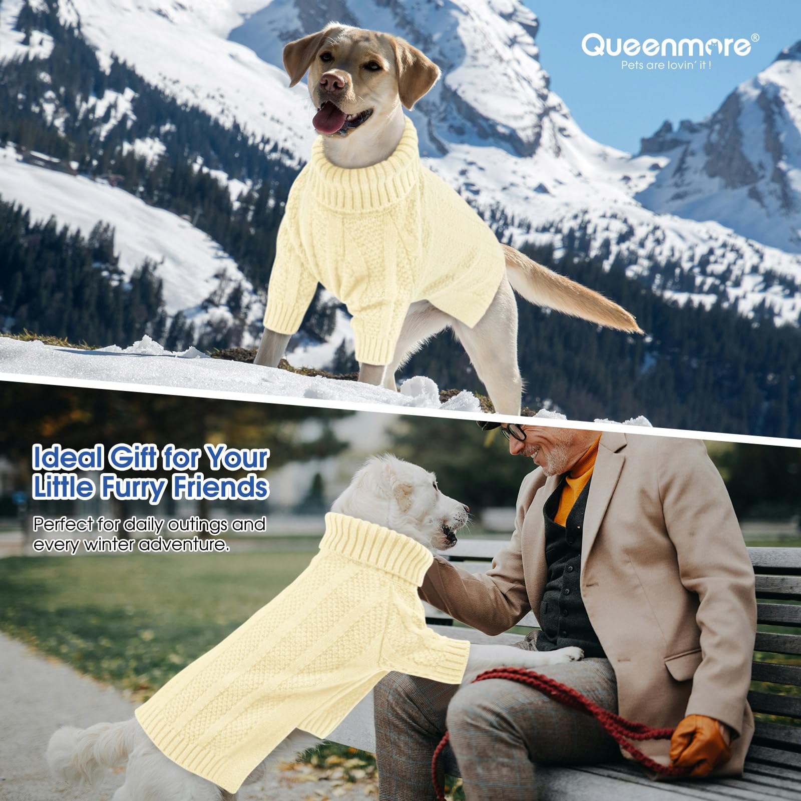 Idéal pour les fêtes, pull Queenmore XXL pour occasions spéciales.