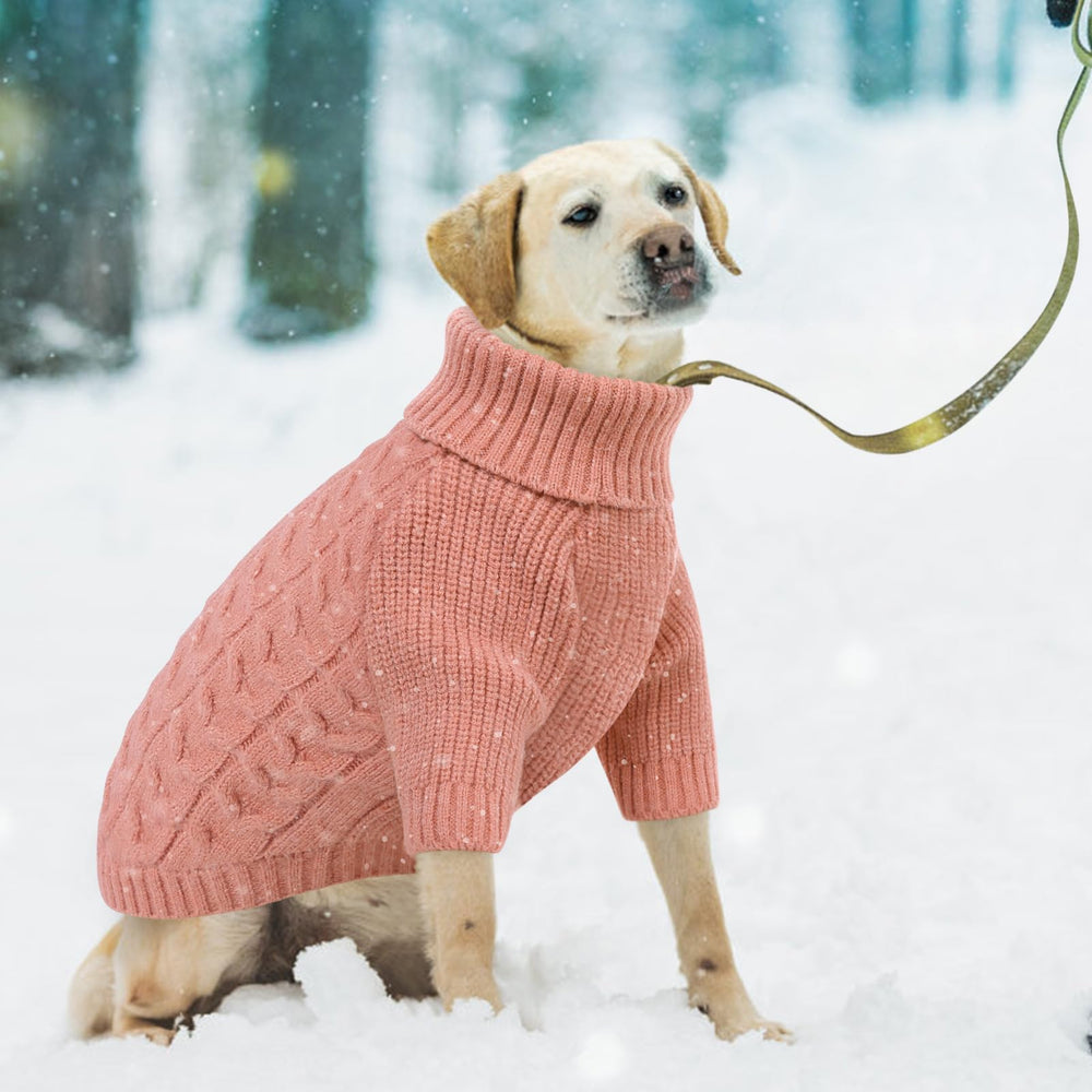 Pull-chien Queenmore XXL taille adaptée, idéal pour boxer, labrador et berger.