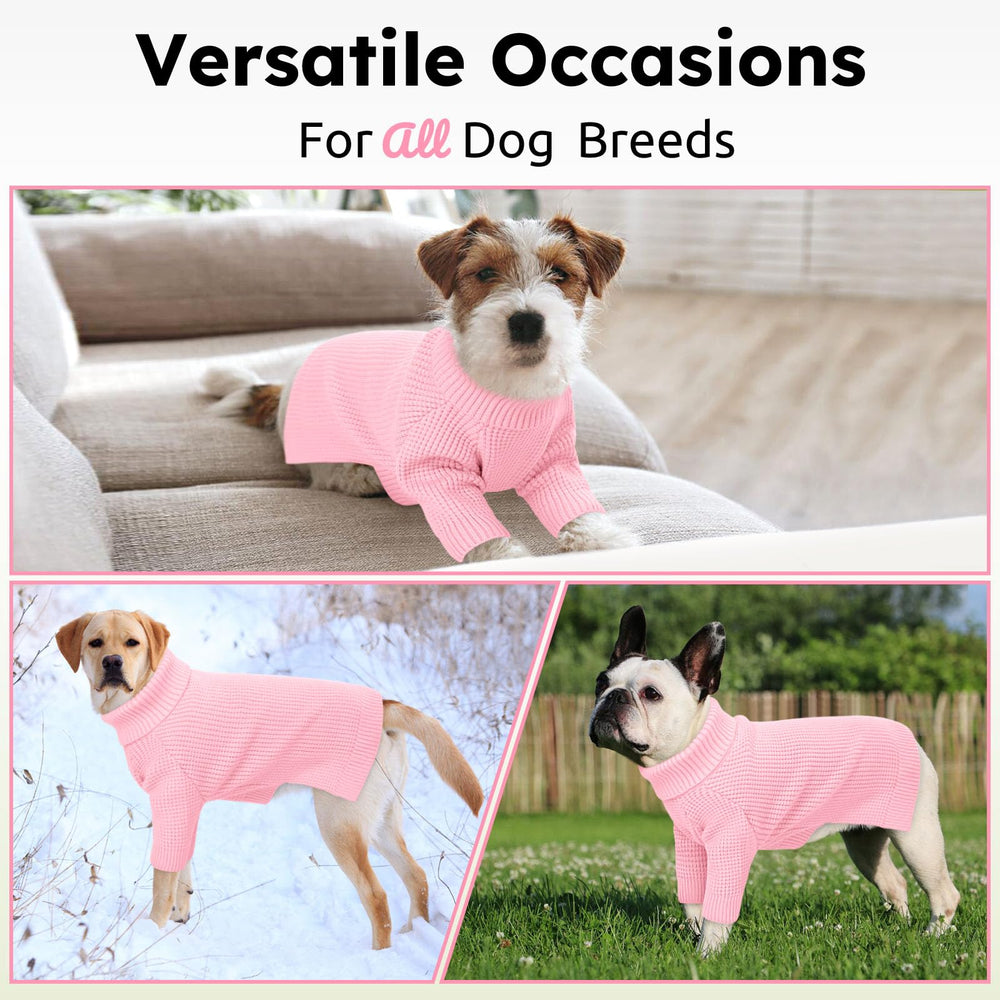 Pull Queenmore pour chien XXL, maille résistante et facile d’entretien.