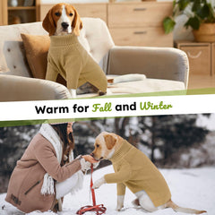 Queenmore pull-col-roule chat manches-longues marron, look chic et pratique.