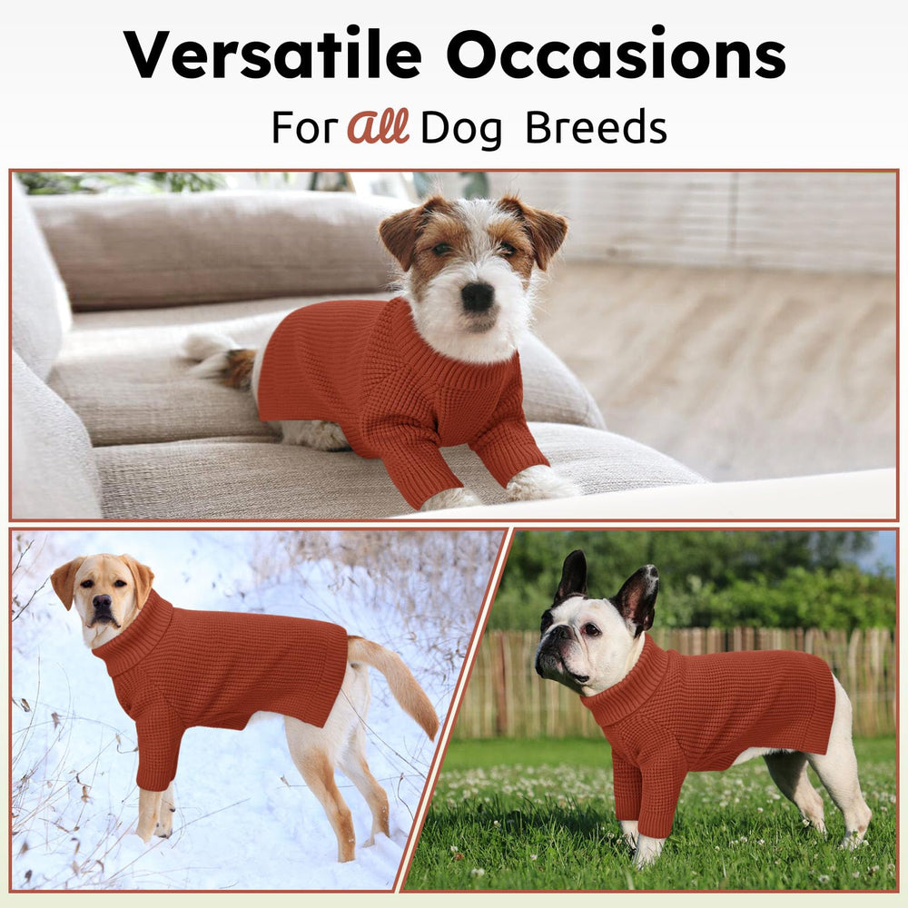 Queenmore pull doux porté en extérieur pour chien grand, liberté de mouvement.