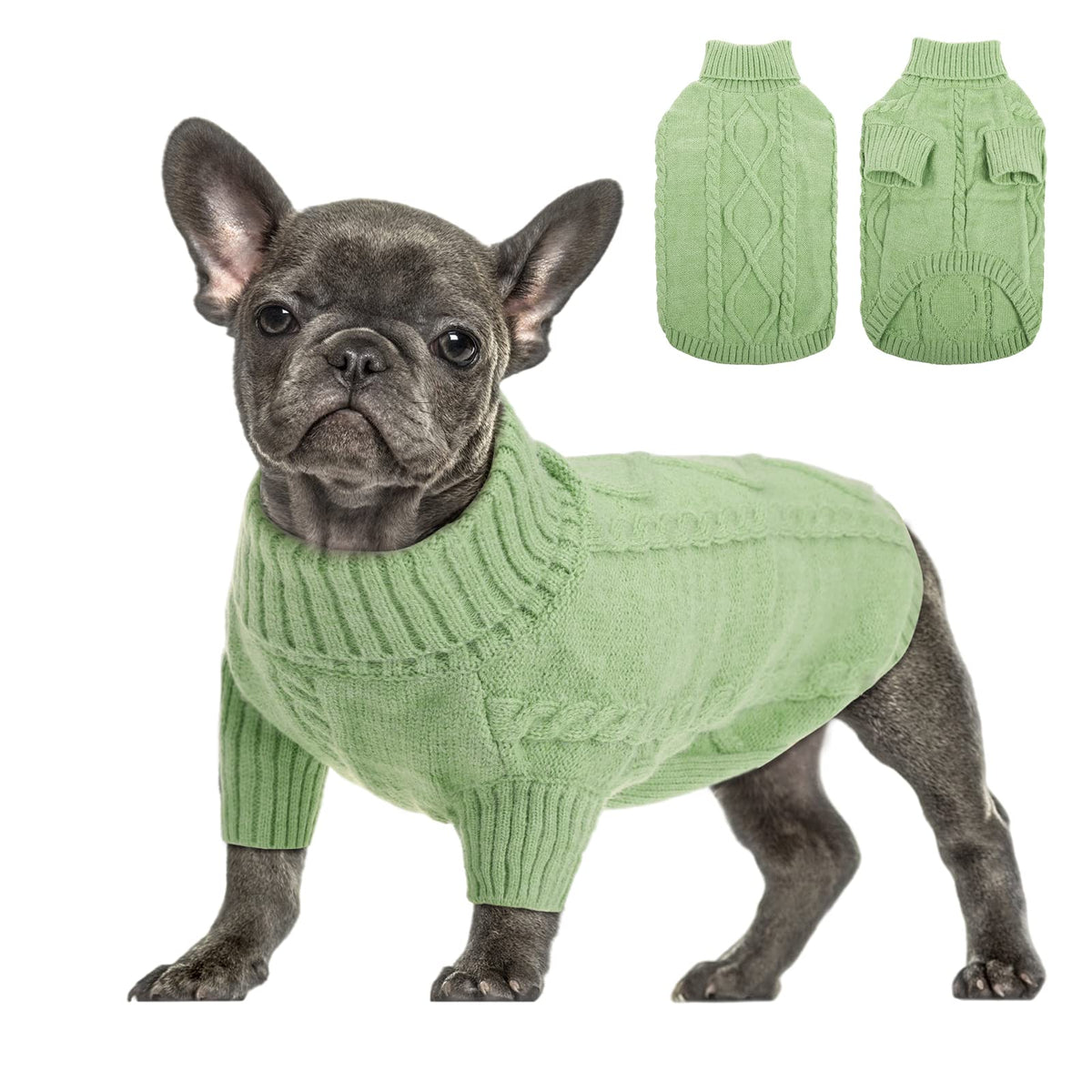 Pull-over Queenmore pour chien petit en vert gazon – garde votre compagnon au chaud.