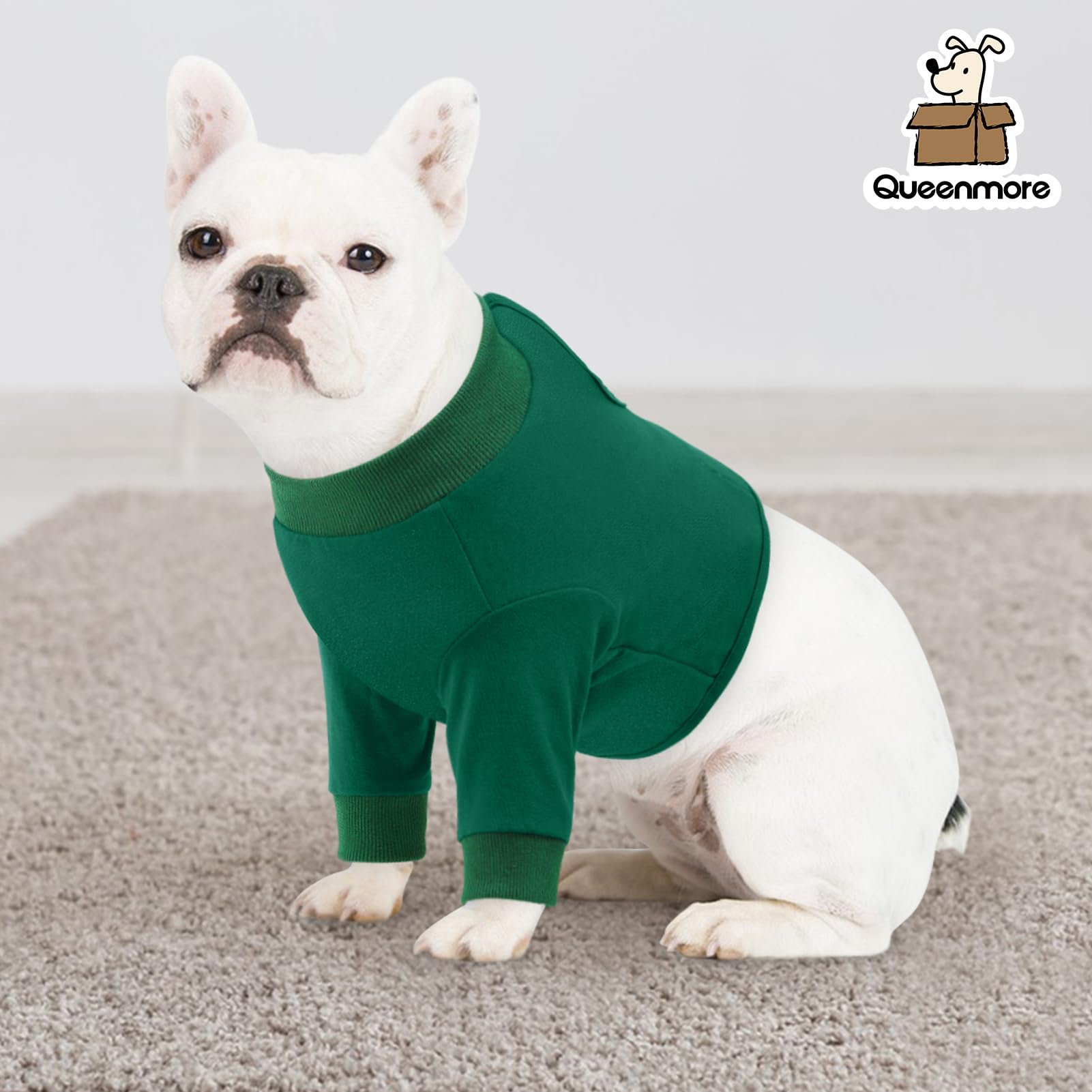 Queenmore solution cone remplacement chien pour movement quotidien