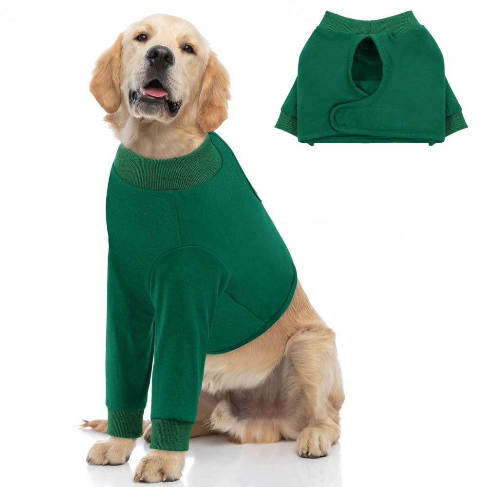 Queenmore tenue recuperation chien pattes avants, protection douce et respirante