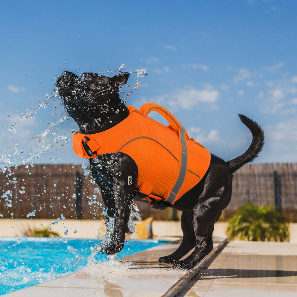 Gilet idéal pour balades près de l eau et baignades sécurisées.