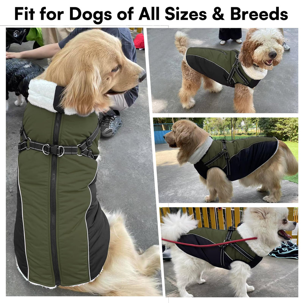 Queenmore veste-hiver-chien moyen doublure polaire pour confort thermique.