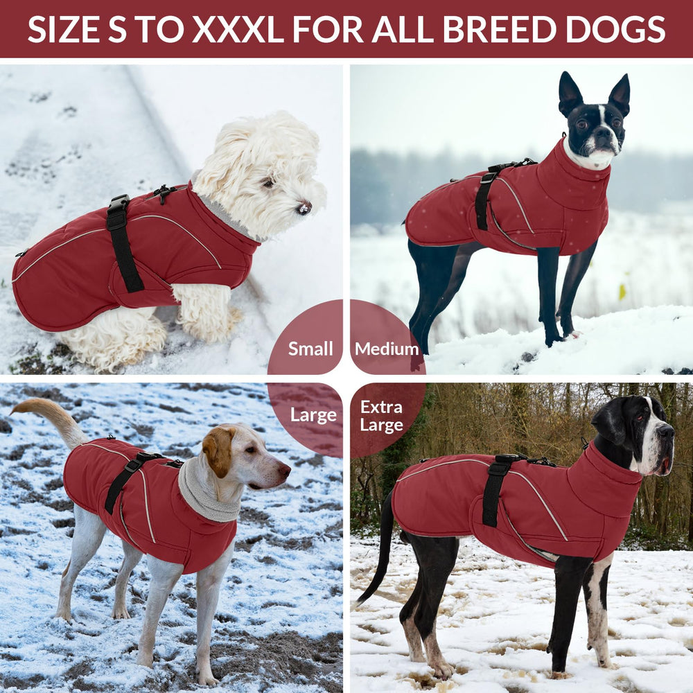 Queenmore XL manteau chien rouge — bandes réfléchissantes, visibilité en faible luminosité.