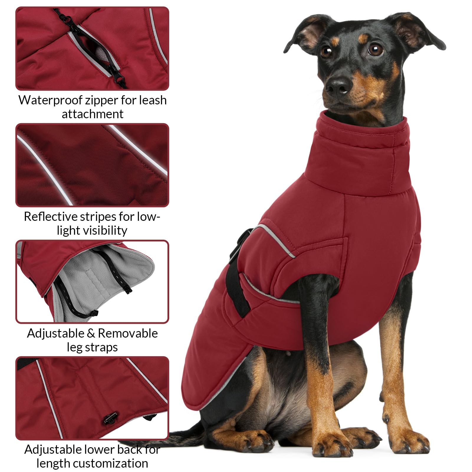 Queenmore XL manteau chien rouge — boucles rapides, mise en place facile.