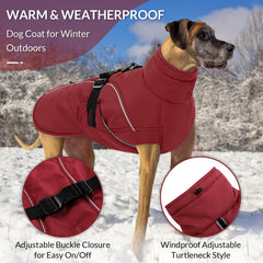 Queenmore XL manteau chien rouge — intérieur fleece, chaleur douce.