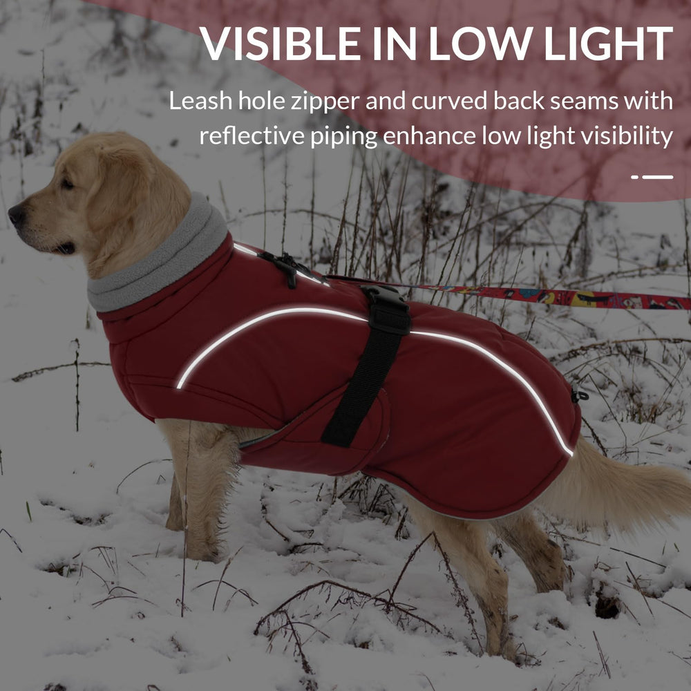 Queenmore XL manteau chien rouge — ouverture pour laisse, compatibilité harnais.