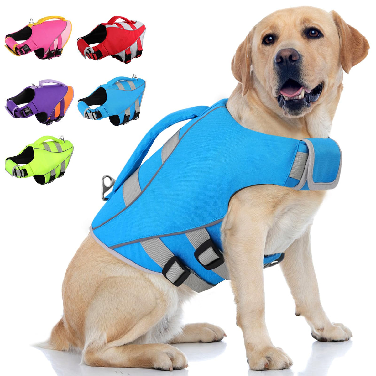 Gilet Queenmore XXL pour chien bleu néon, visibilité élevée et flottabilité sécurisante.