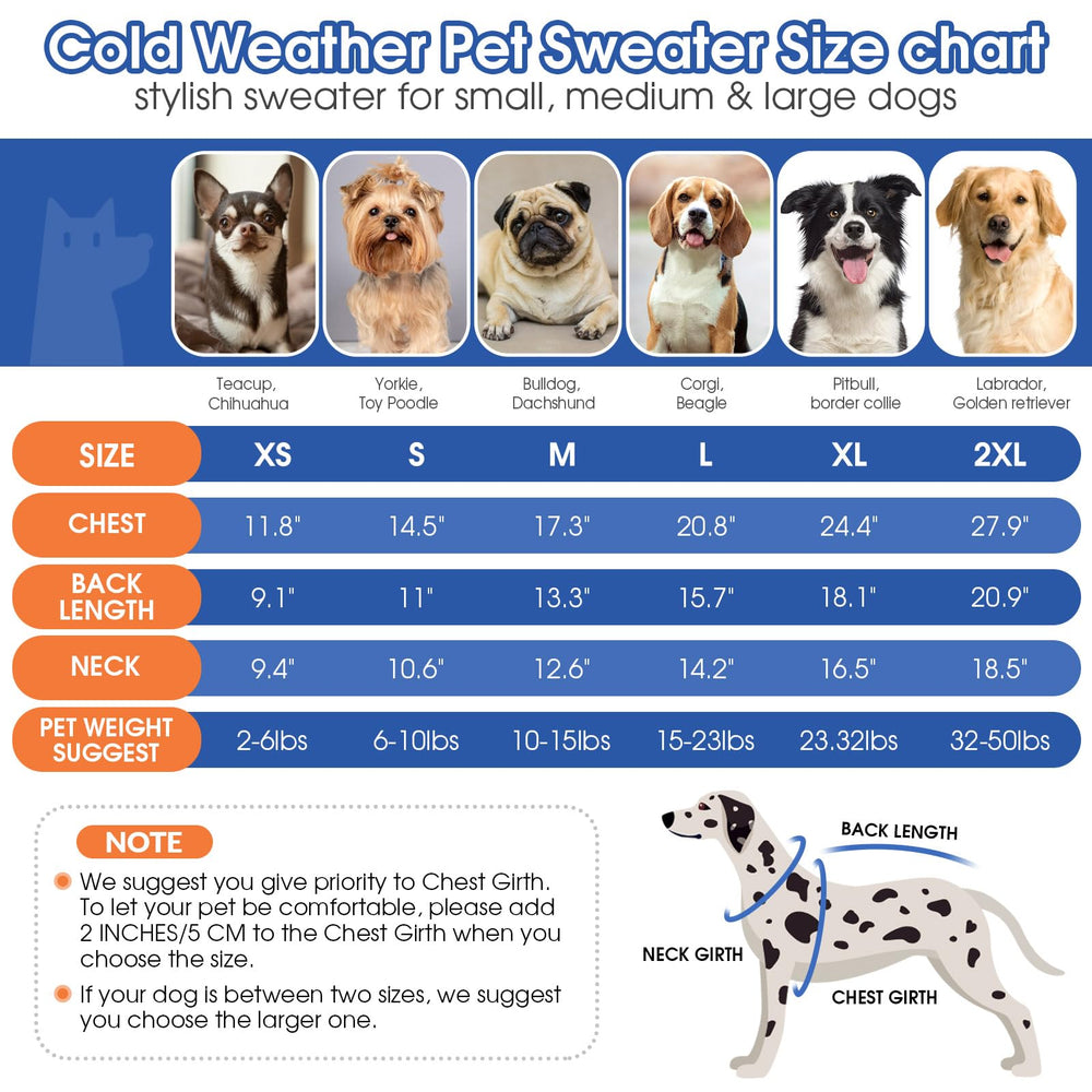 Pull Queenmore XXL pour chien, col roulé, protection du cou contre le froid.