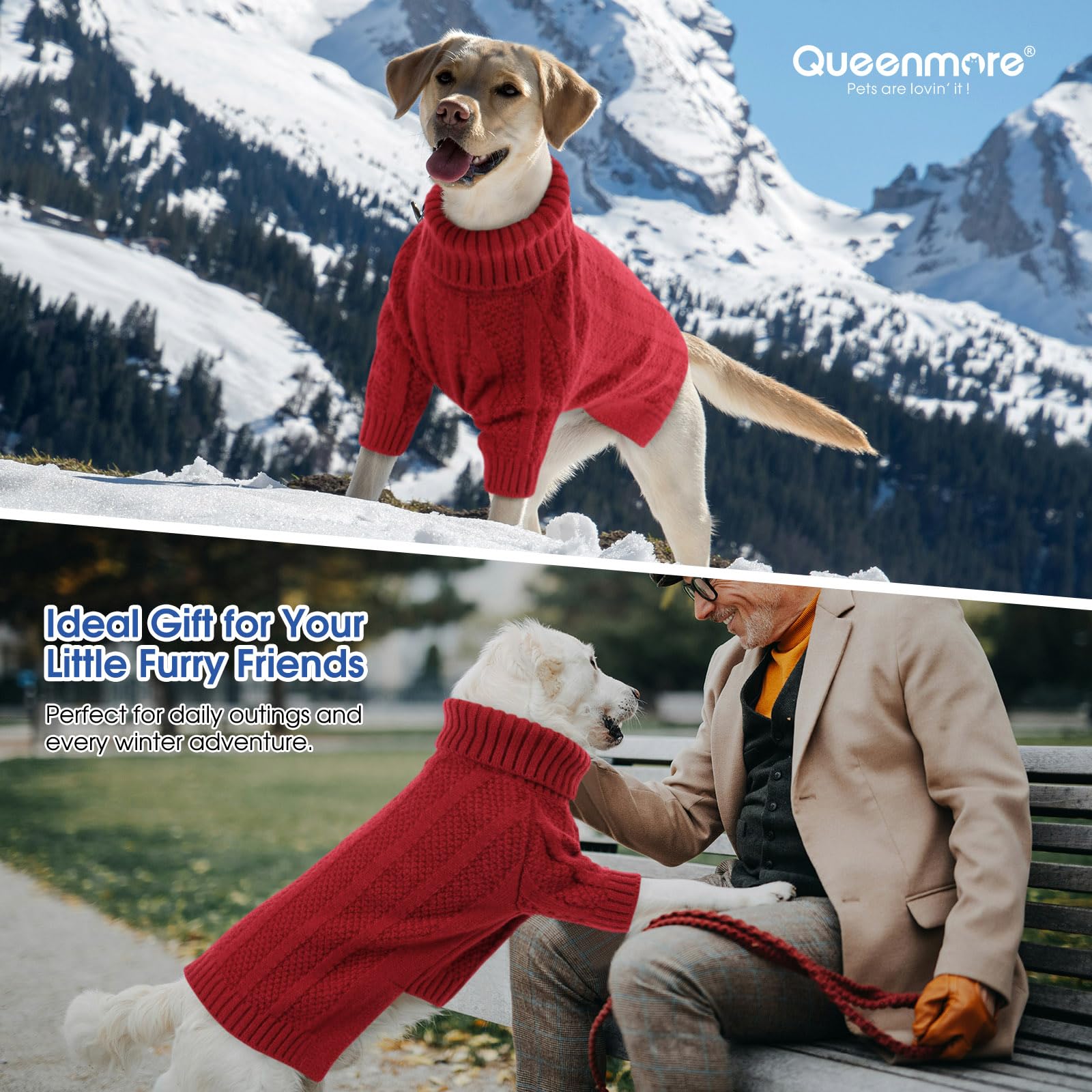 Pull-chien Queenmore, enfilage facile pour un habillage rapide.