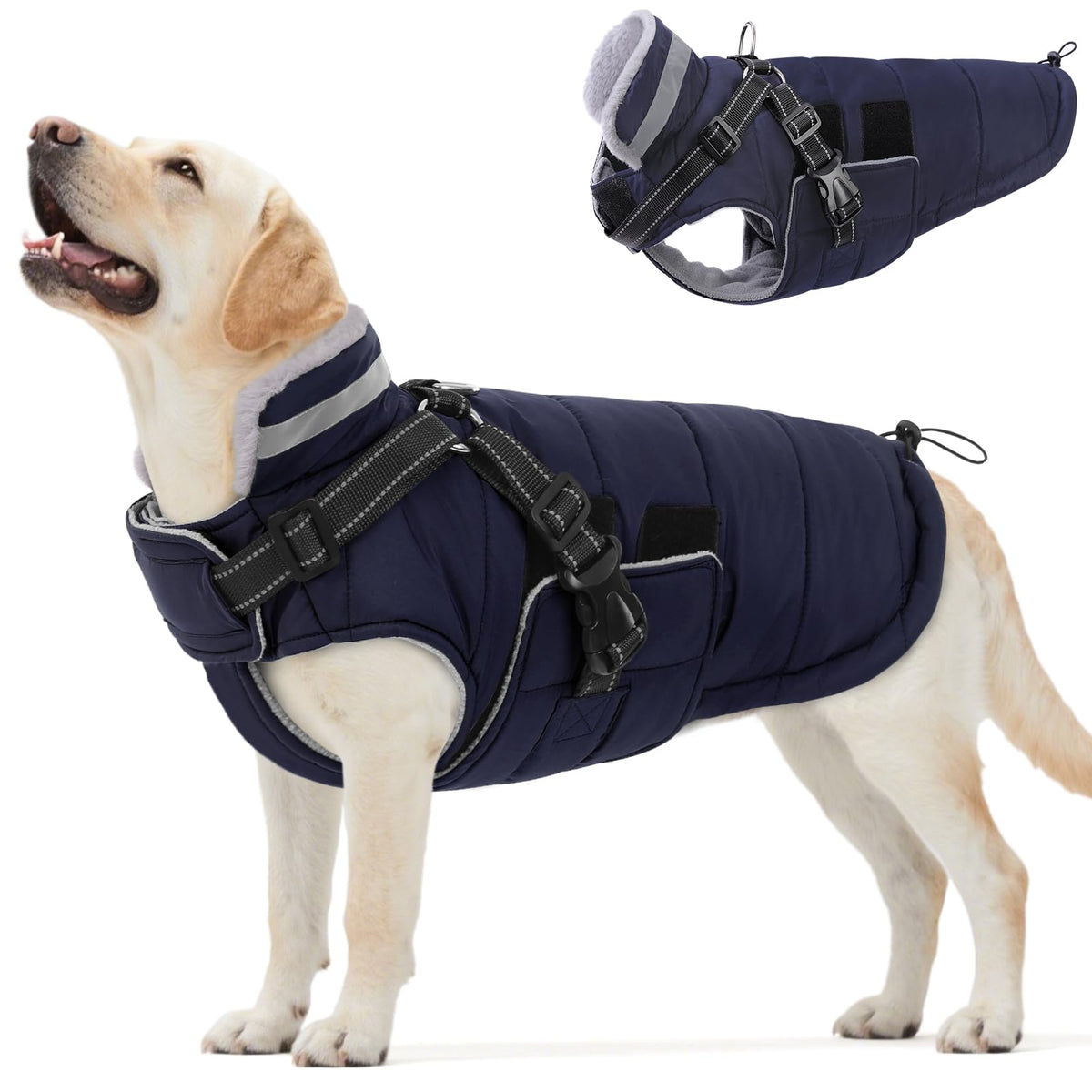 Queenmore XXXL manteau chien hiver harnais integre, sécurité accrue lors des promenades.