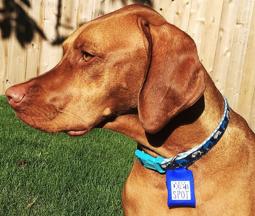 Quiet Spot Pet Tag Silencer noir vue arrière, protège les informations gravées.