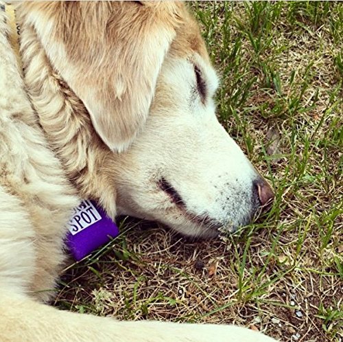 Quiet Spot Pet Tag Silencer noir capacité quatre étiquettes.