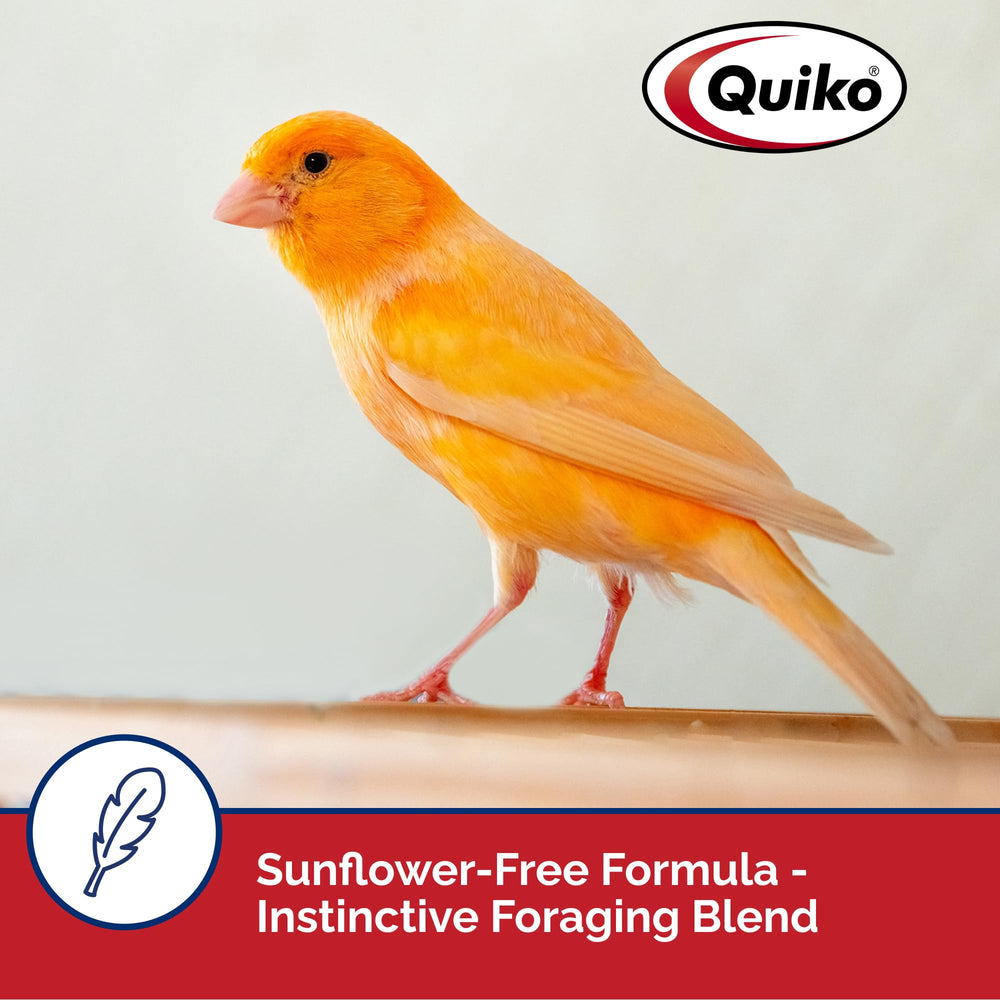 Quiko Special Rouge Œuf – Mélange graines de sésame pour nutrition et goût.