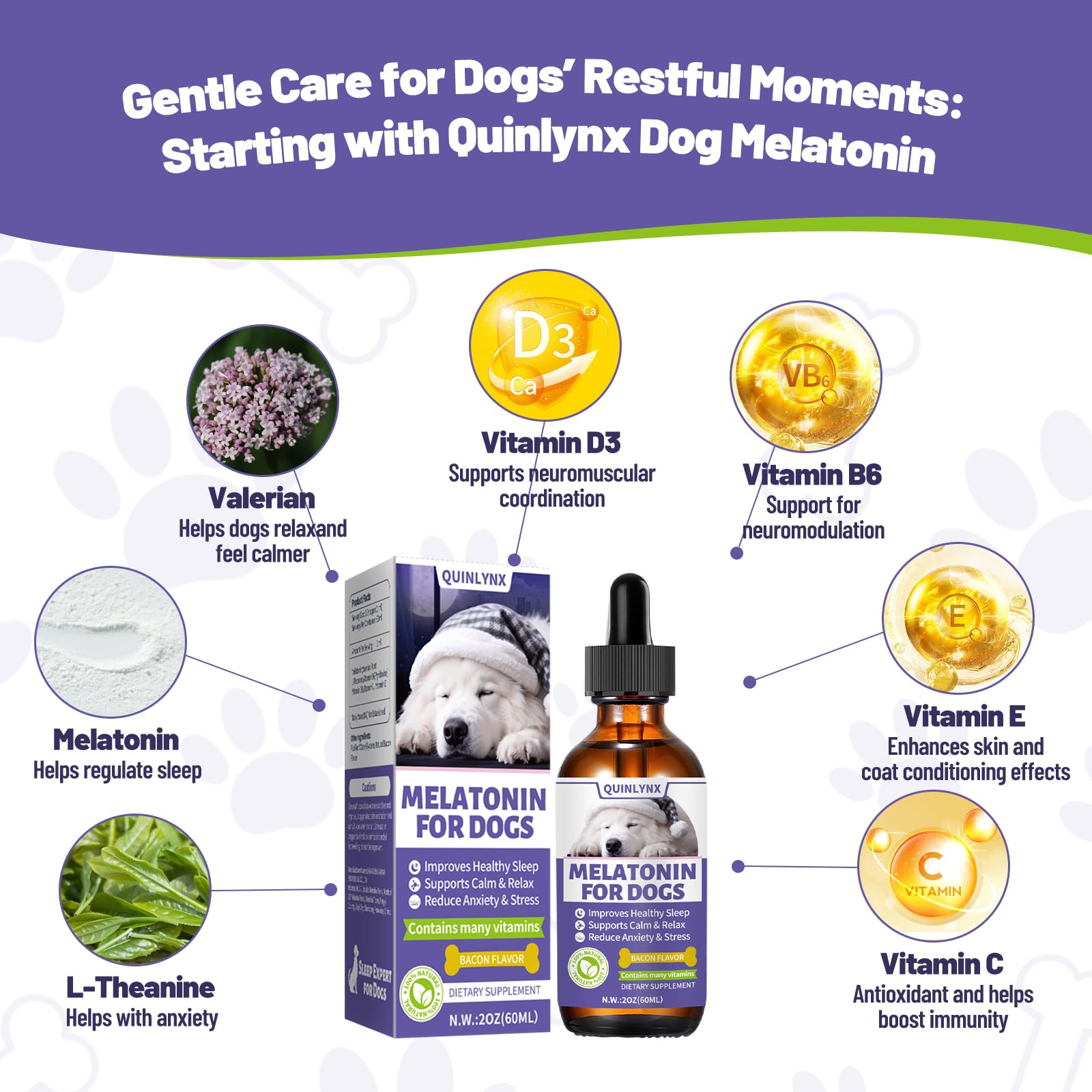 Quinlynx Mélatonine pour chiens – Nuit paisible et repos réparateur pour votre chien