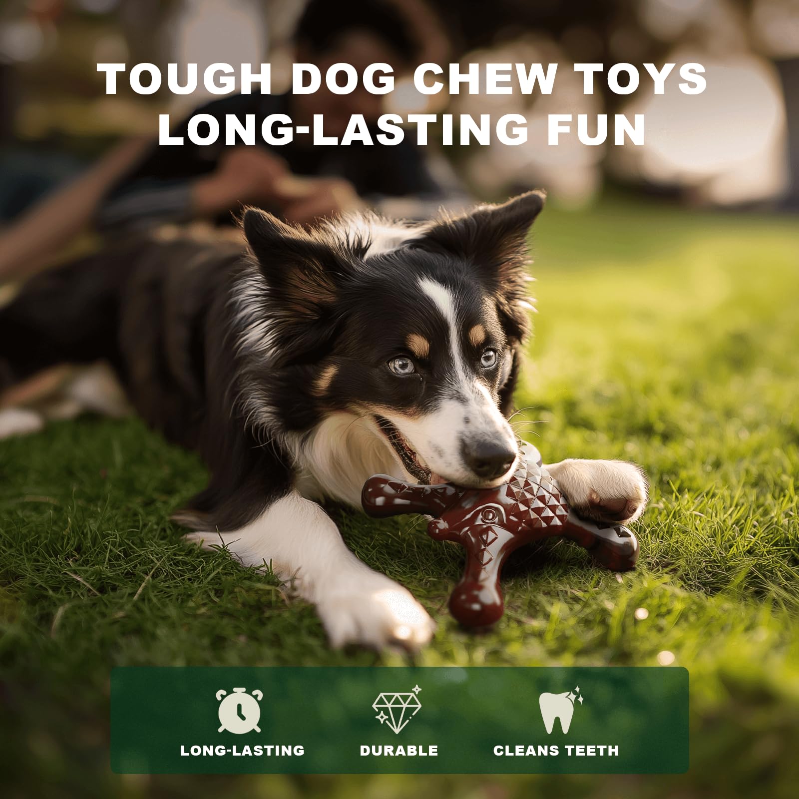 Quizvi coloris marron et vert pour chiens 25-70 livres.