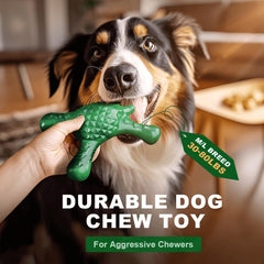 Quizvi jouet dentition nylon remplissable avec bacon — stimulation mentale et friandise facile.