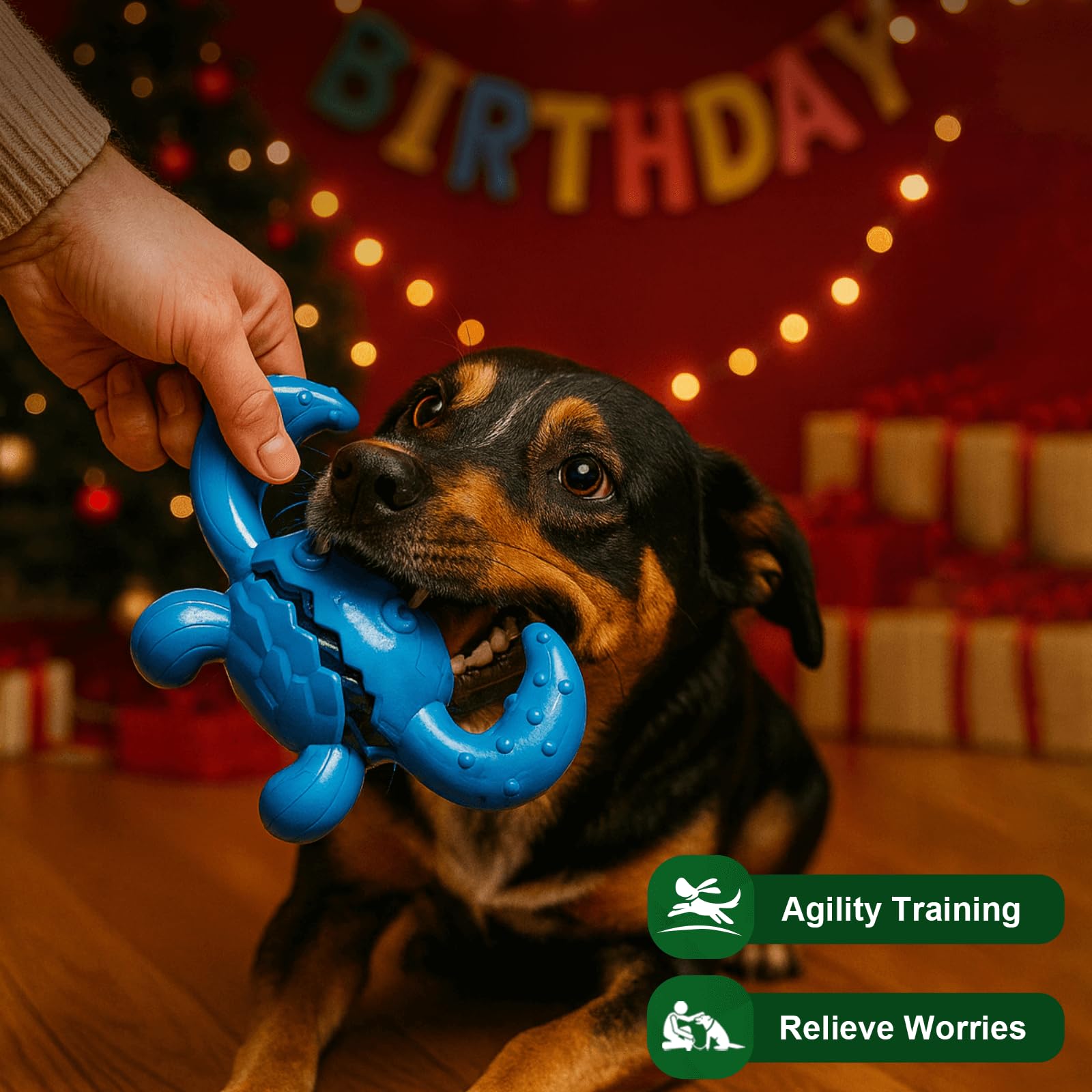 Quizvi jouet interactif qui occupe et stimule mentalement le chien